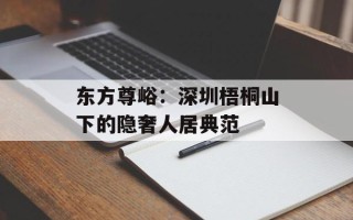 东方尊峪：深圳梧桐山下的隐奢人居典范