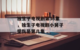 独生子电视剧第36集，独生子电视剧小舅子受伤是第几集