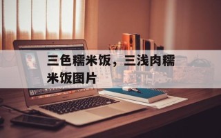 三色糯米饭，三浅肉糯米饭图片