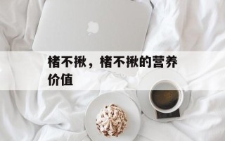 楮不揪，楮不揪的营养价值