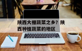 陕西大棚蔬菜之乡？陕西种植蔬菜的地区