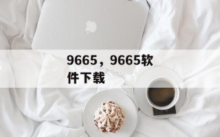 9665，9665软件下载