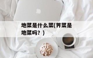 地菜是什么菜(荠菜是地菜吗？)