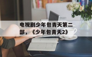 电视剧少年包青天第二部，《少年包青天2》