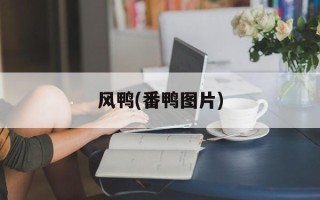 风鸭(番鸭图片)