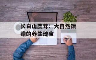 长白山鹿茸：大自然馈赠的养生瑰宝