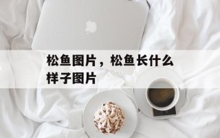 松鱼图片，松鱼长什么样子图片