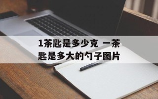 1茶匙是多少克 一茶匙是多大的勺子图片