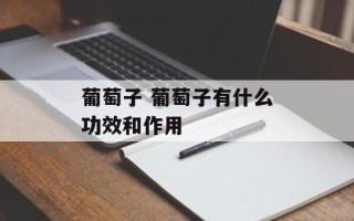 葡萄子 葡萄子有什么功效和作用