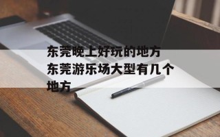 东莞晚上好玩的地方 东莞游乐场大型有几个地方