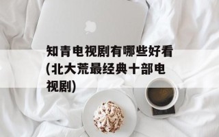 知青电视剧有哪些好看(北大荒最经典十部电视剧)