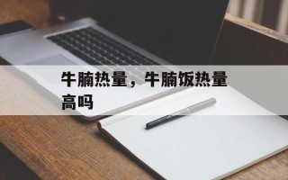 牛腩热量，牛腩饭热量高吗