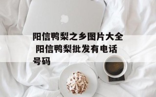 阳信鸭梨之乡图片大全 阳信鸭梨批发有电话号码