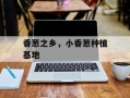 香葱之乡，小香葱种植基地