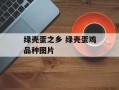 绿壳蛋之乡 绿壳蛋鸡品种图片