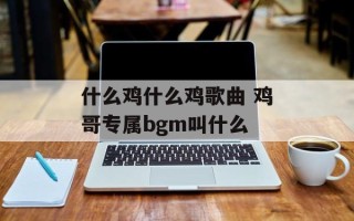 什么鸡什么鸡歌曲 鸡哥专属bgm叫什么