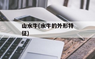 山水牛(水牛的外形特征)