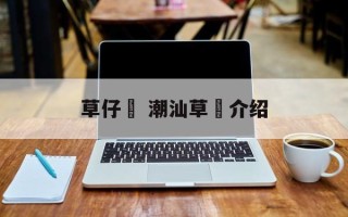 草仔粿 潮汕草粿介绍