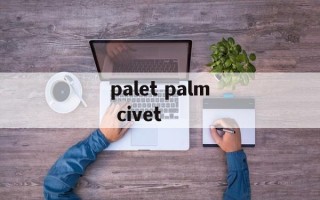 palet palm civet
