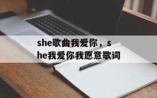she歌曲我爱你，she我爱你我愿意歌词