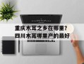 重庆木耳之乡在哪里？四川木耳哪里产的最好
