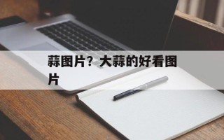 蒜图片？大蒜的好看图片