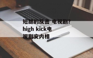 短腿的反击 电视剧？high kick电视剧安内相