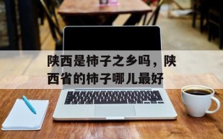 陕西是柿子之乡吗，陕西省的柿子哪儿最好