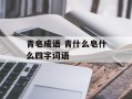 青皂成语 青什么皂什么四字词语
