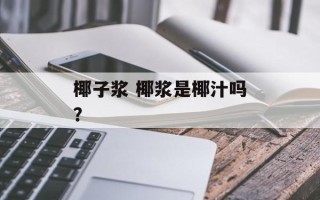 椰子浆 椰浆是椰汁吗？