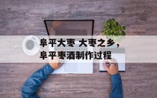 阜平大枣 大枣之乡，阜平枣酒制作过程
