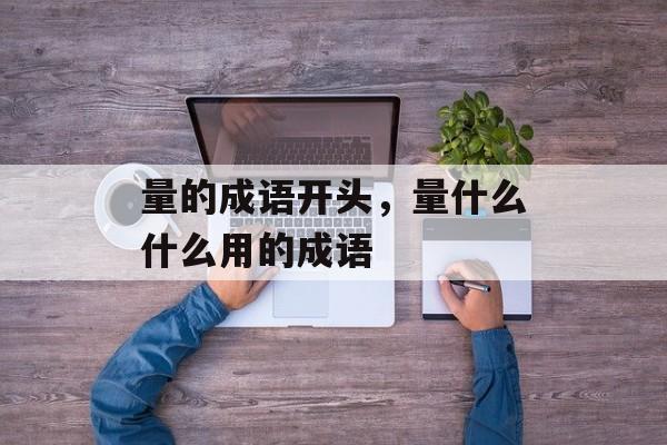 量的成语开头，量什么什么用的成语-第1张图片-