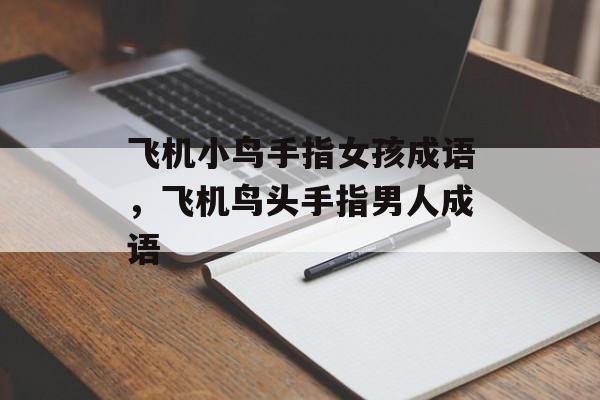 飞机小鸟手指女孩成语，飞机鸟头手指男人成语-第1张图片-