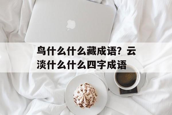 鸟什么什么藏成语？云淡什么什么四字成语-第1张图片-