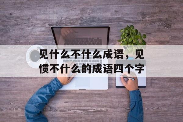 见什么不什么成语，见惯不什么的成语四个字-第1张图片-