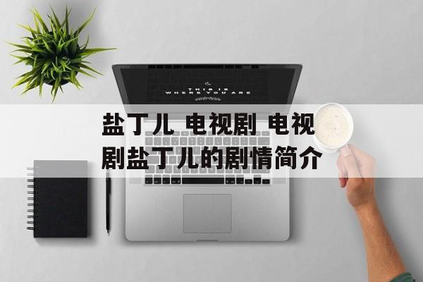 盐丁儿 电视剧 电视剧盐丁儿的剧情简介-第1张图片-