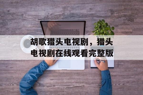 胡歌猎头电视剧，猎头电视剧在线观看完整版-第1张图片-