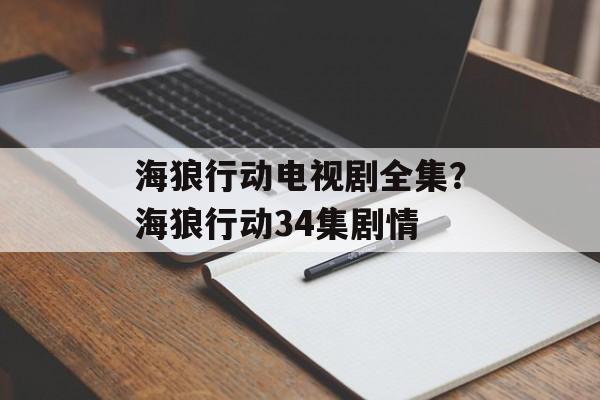 海狼行动电视剧全集？海狼行动34集剧情-第1张图片-