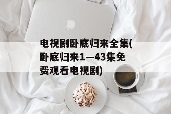 电视剧卧底归来全集(卧底归来1—43集免费观看电视剧)-第1张图片-