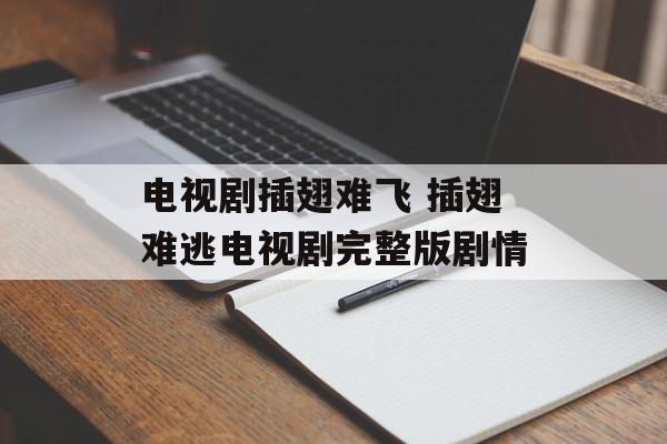 电视剧插翅难飞 插翅难逃电视剧完整版剧情-第1张图片-