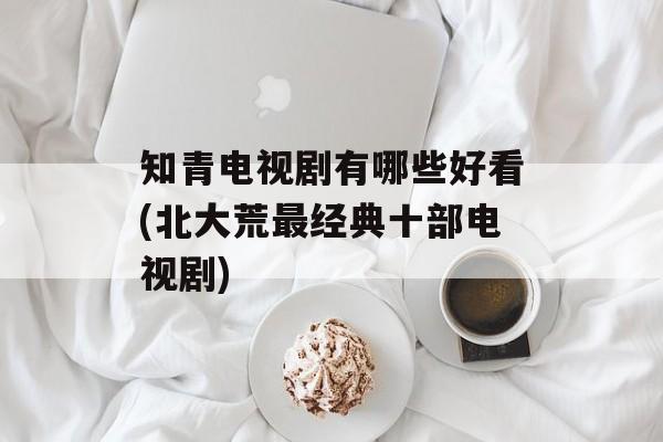 知青电视剧有哪些好看(北大荒最经典十部电视剧)-第1张图片-