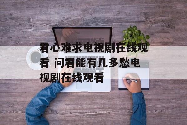 君心难求电视剧在线观看 问君能有几多愁电视剧在线观看-第1张图片-