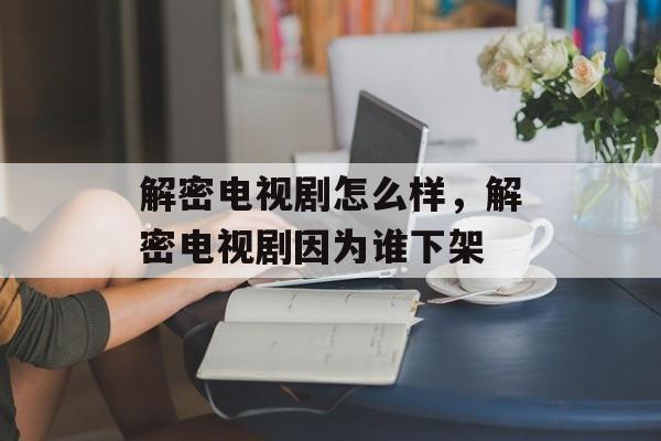 解密电视剧怎么样，解密电视剧因为谁下架-第1张图片-
