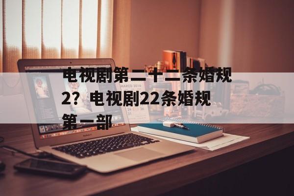 电视剧第二十二条婚规2？电视剧22条婚规第一部-第1张图片-