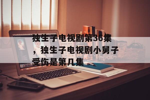 独生子电视剧第36集，独生子电视剧小舅子受伤是第几集-第1张图片-