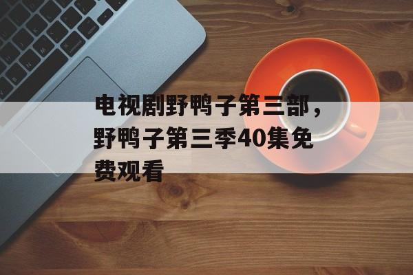 电视剧野鸭子第三部，野鸭子第三季40集免费观看-第1张图片-