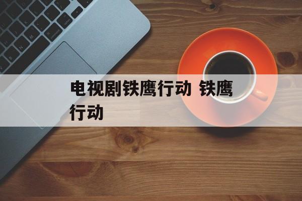 电视剧铁鹰行动 铁鹰行动-第1张图片-