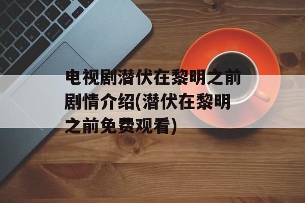 电视剧潜伏在黎明之前剧情介绍(潜伏在黎明之前免费观看)-第1张图片-