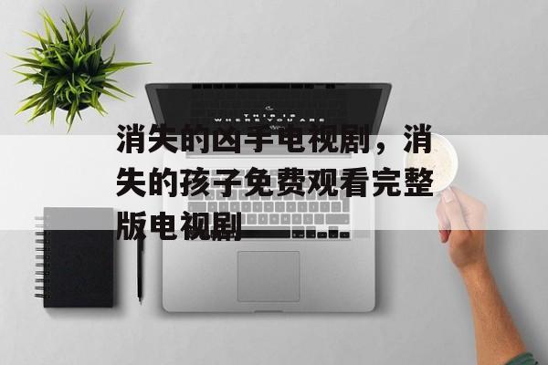 消失的凶手电视剧，消失的孩子免费观看完整版电视剧-第1张图片-