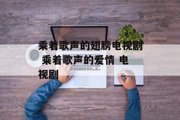 乘着歌声的翅膀电视剧 乘着歌声的爱情 电视剧-第1张图片-
